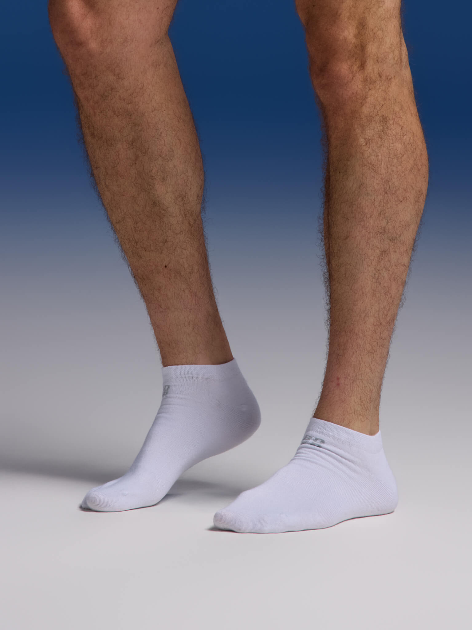 BOXR | Bamboe Sneaker Sokken 2-Pack Wit